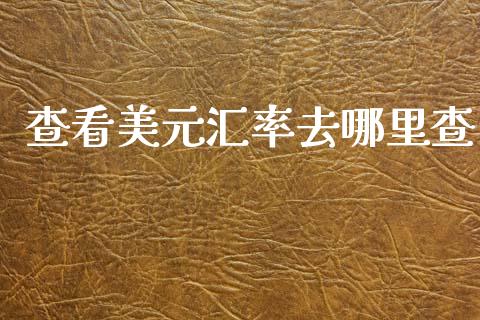 查看美元汇率去哪里查_https://cj004.lansai.wang_期货开户_第1张