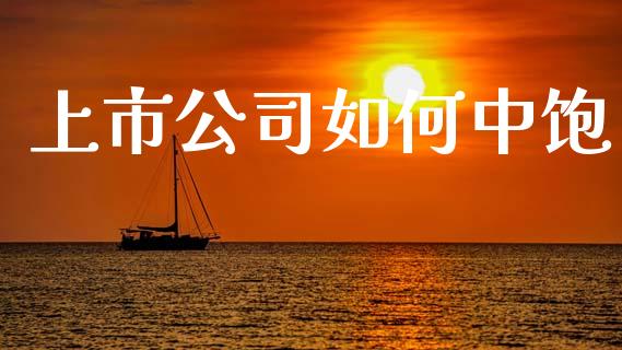 上市公司如何中饱_https://cj004.lansai.wang_外汇交易_第1张