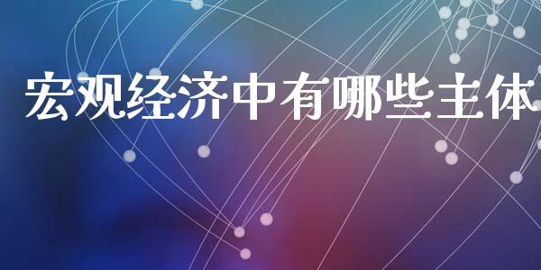 宏观经济中有哪些主体_https://cj004.lansai.wang_外汇交易_第1张