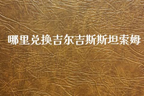 哪里兑换吉尔吉斯斯坦索姆_https://cj004.lansai.wang_外汇交易_第1张