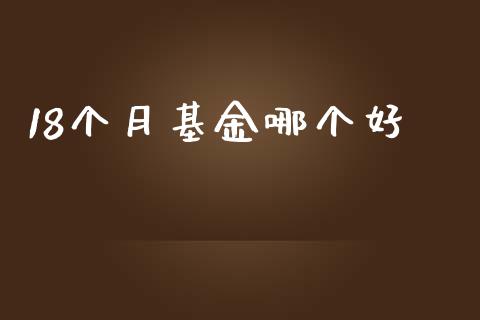 18个月基金哪个好_https://cj004.lansai.wang_期货开户_第1张