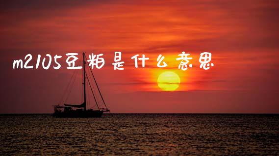 m2105豆粕是什么意思_https://cj004.lansai.wang_外汇交易_第1张