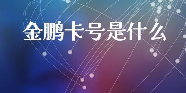 金鹏卡号是什么_https://cj004.lansai.wang_债券资讯_第1张