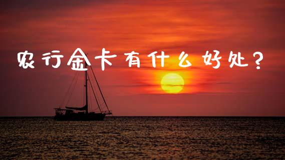农行金卡有什么好处?_https://cj004.lansai.wang_期货开户_第1张