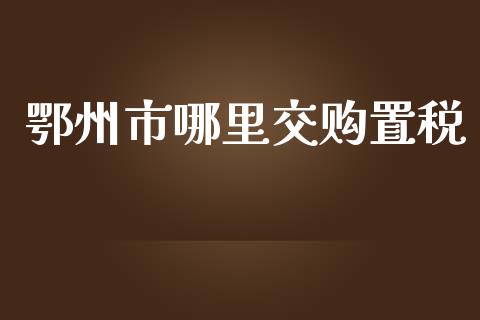 鄂州市哪里交购置税_https://cj004.lansai.wang_债券资讯_第1张
