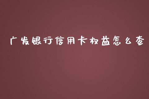 广发银行信用卡权益怎么查_https://cj004.lansai.wang_财经新闻_第1张