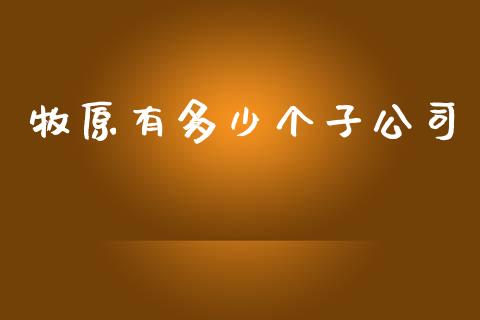 牧原有多少个子公司_https://cj004.lansai.wang_财经新闻_第1张