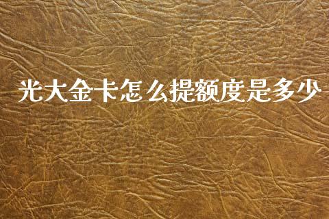 光大金卡怎么提额度是多少_https://cj004.lansai.wang_金融监管_第1张