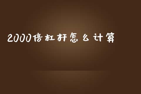 2000倍杠杆怎么计算_https://cj004.lansai.wang_债券资讯_第1张