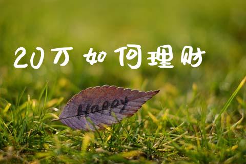 20万如何理财_https://cj004.lansai.wang_期货开户_第1张
