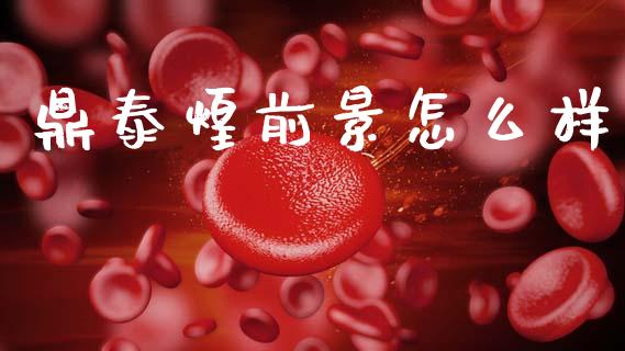 鼎泰煌前景怎么样_https://cj004.lansai.wang_期货开户_第1张