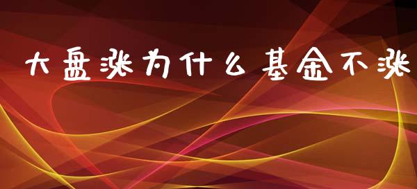 大盘涨为什么基金不涨_https://cj004.lansai.wang_财经新闻_第1张