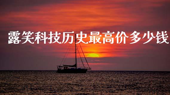 露笑科技历史最高价多少钱_https://cj004.lansai.wang_财经新闻_第1张