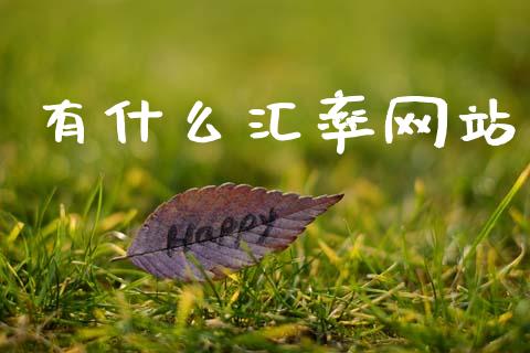 有什么汇率网站_https://cj004.lansai.wang_财经新闻_第1张