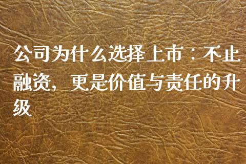 公司为什么选择上市：不止融资，更是价值与责任的升级_https://cj004.lansai.wang_期货开户_第1张