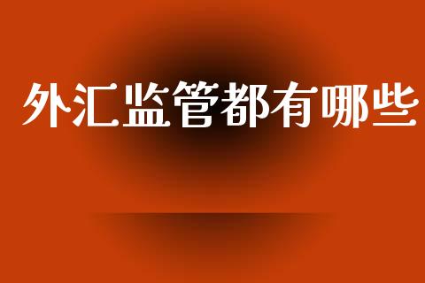 外汇监管都有哪些_https://cj004.lansai.wang_金融监管_第1张