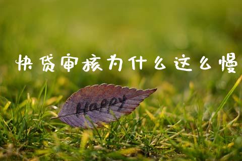 快贷审核为什么这么慢_https://cj004.lansai.wang_债券资讯_第1张