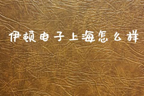 伊顿电子上海怎么样_https://cj004.lansai.wang_债券资讯_第1张
