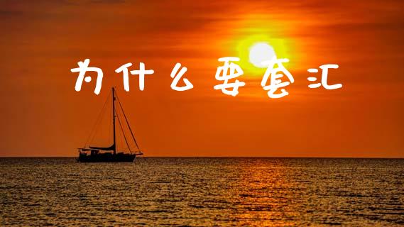 为什么要套汇_https://cj004.lansai.wang_外汇交易_第1张