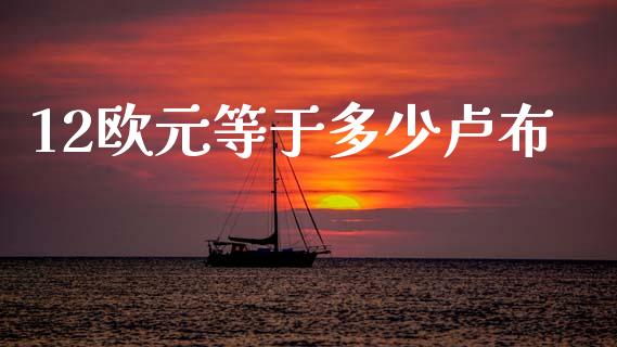 12欧元等于多少卢布_https://cj004.lansai.wang_金融监管_第1张