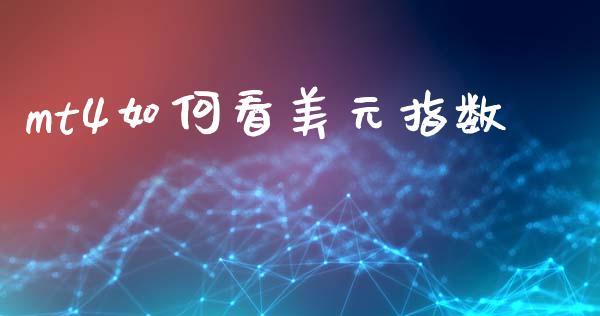 mt4如何看美元指数_https://cj004.lansai.wang_全球市场_第1张