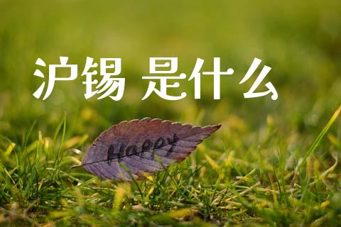 沪锡 是什么_https://cj004.lansai.wang_全球市场_第1张