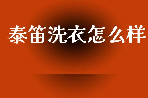 泰笛洗衣怎么样_https://cj004.lansai.wang_外汇交易_第1张
