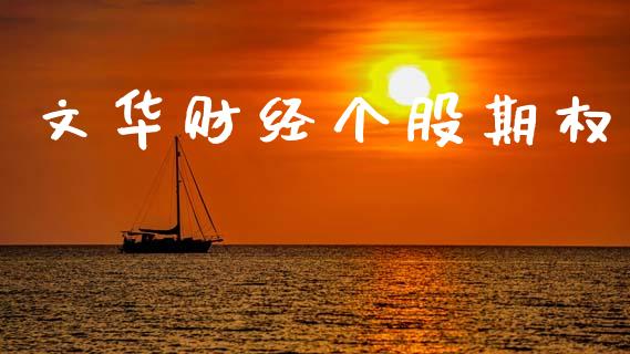 文华财经个股期权_https://cj004.lansai.wang_期货开户_第1张