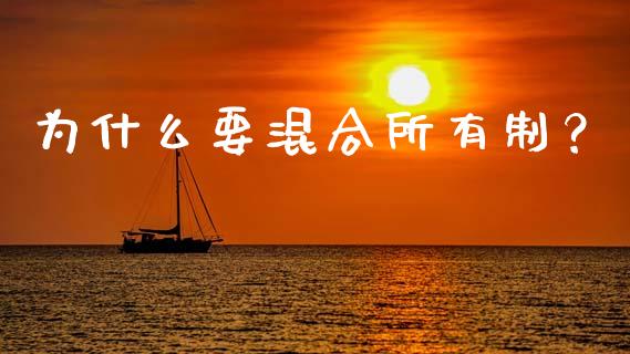 为什么要混合所有制？_https://cj004.lansai.wang_债券资讯_第1张