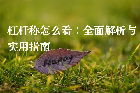 杠杆称怎么看：全面解析与实用指南_https://cj004.lansai.wang_债券资讯_第1张