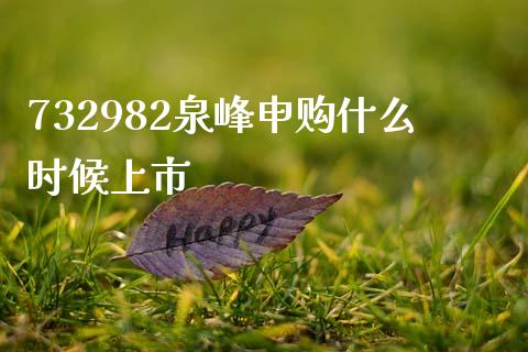 732982泉峰申购什么时候上市_https://cj004.lansai.wang_财经新闻_第1张