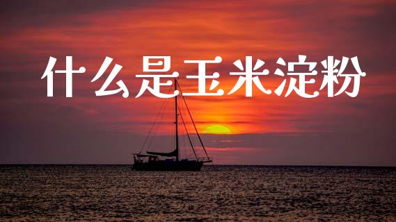 什么是玉米淀粉_https://cj004.lansai.wang_金融监管_第1张