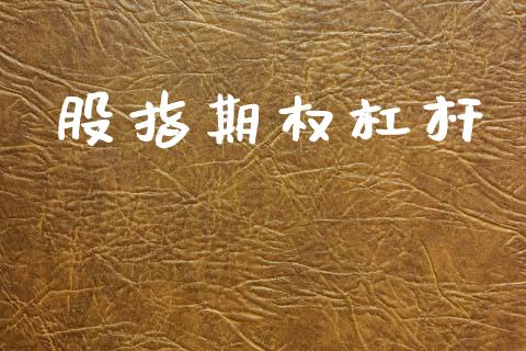 股指期权杠杆_https://cj004.lansai.wang_全球市场_第1张