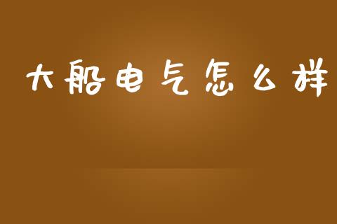 大船电气怎么样_https://cj004.lansai.wang_财经新闻_第1张