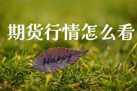 期货行情怎么看_https://cj004.lansai.wang_金融监管_第1张