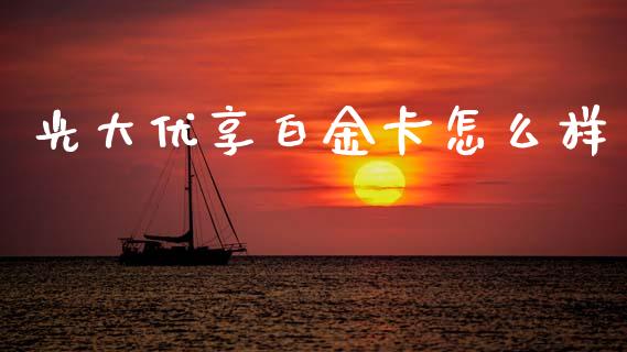 光大优享白金卡怎么样_https://cj004.lansai.wang_外汇交易_第1张