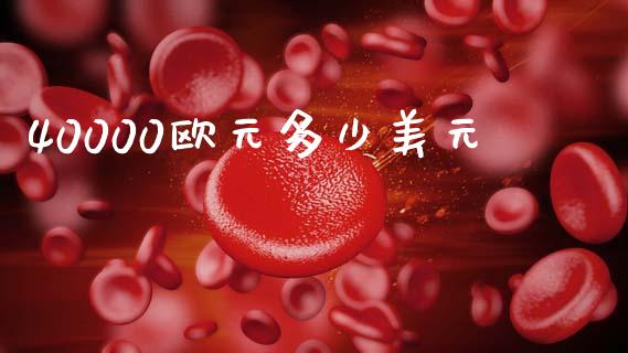 40000欧元多少美元_https://cj004.lansai.wang_全球市场_第1张