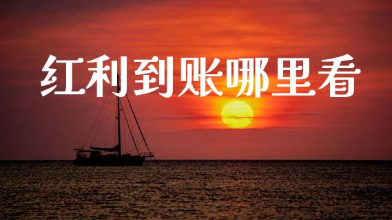 红利到账哪里看_https://cj004.lansai.wang_债券资讯_第1张