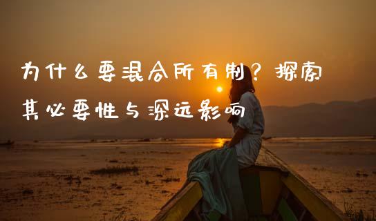 为什么要混合所有制？探索其必要性与深远影响_https://cj004.lansai.wang_债券资讯_第1张