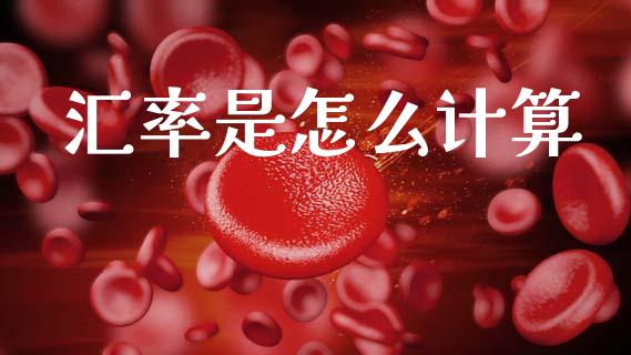 汇率是怎么计算_https://cj004.lansai.wang_外汇交易_第1张