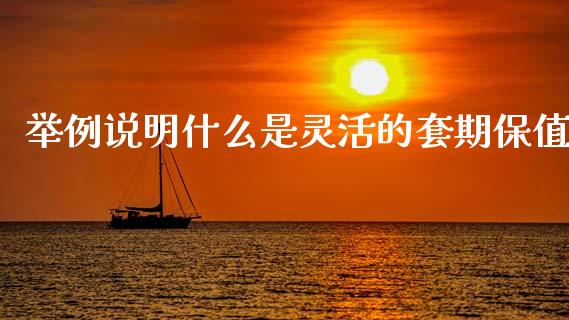举例说明什么是灵活的套期保值_外汇交易_第1张_期货开户_金融监管_外汇交易_债券资讯_全球市场_财经新闻 举例说明什么是灵活的套期保值_https://cj004.lansai.wang_外汇交易_第1张