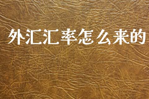 外汇汇率怎么来的_https://cj004.lansai.wang_金融监管_第1张