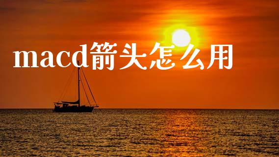 macd箭头怎么用_https://cj004.lansai.wang_金融监管_第1张