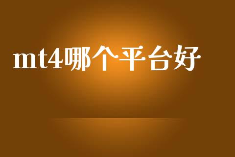 mt4哪个平台好_https://cj004.lansai.wang_金融监管_第1张