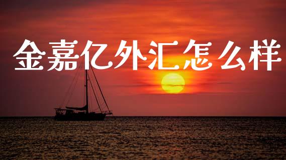金嘉亿外汇怎么样_https://cj004.lansai.wang_外汇交易_第1张