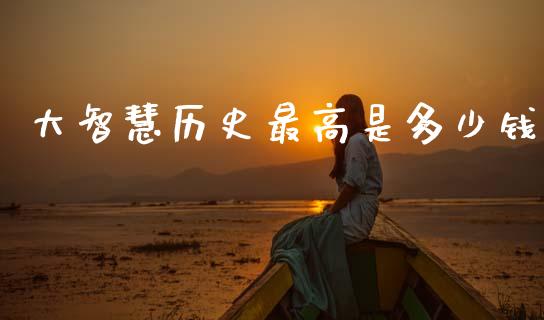 大智慧历史最高是多少钱_https://cj004.lansai.wang_财经新闻_第1张