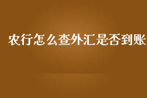 农行怎么查外汇是否到账_https://cj004.lansai.wang_期货开户_第1张