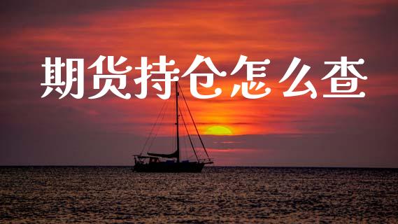 期货持仓怎么查_https://cj004.lansai.wang_金融监管_第1张