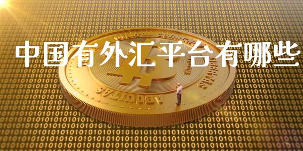 中国有外汇平台有哪些_https://cj004.lansai.wang_财经新闻_第1张
