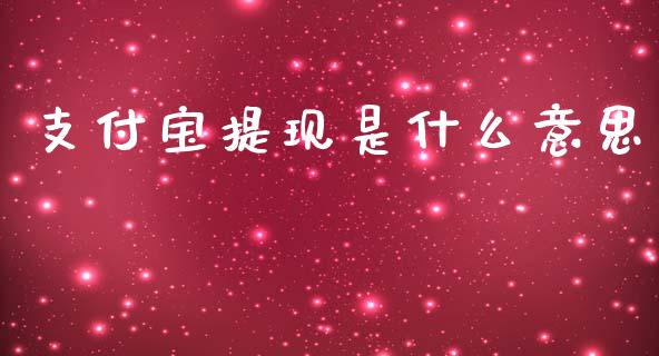 支付宝提现是什么意思_https://cj004.lansai.wang_期货开户_第1张